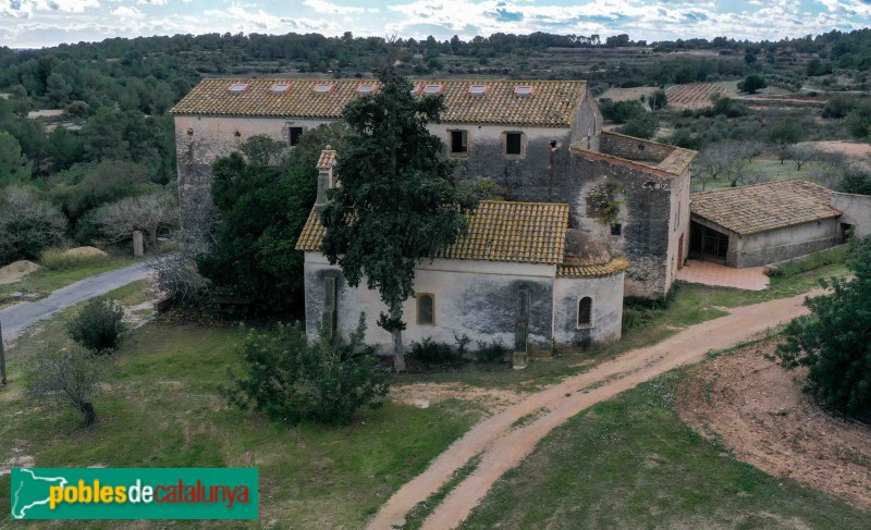 Vespella de Gaià - Mas d'en Plana (Foto: Francesc Vidal-Barraquer, 2021) Vespella de Gaià - Mas d'en Plana