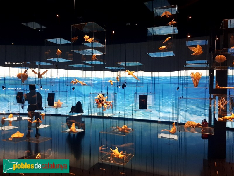 Barcelona - Torre Glòries. Hipermirador