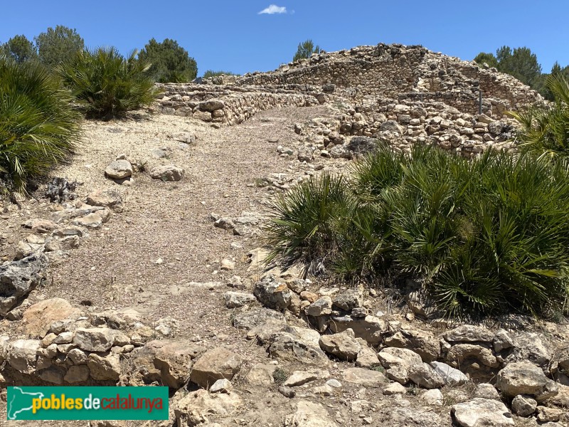 Poblat ibèric del Castellot de la Roca Roja (Foto: Albert Esteves, 2022) Poblat ibèric del Castellot de la Roca Roja