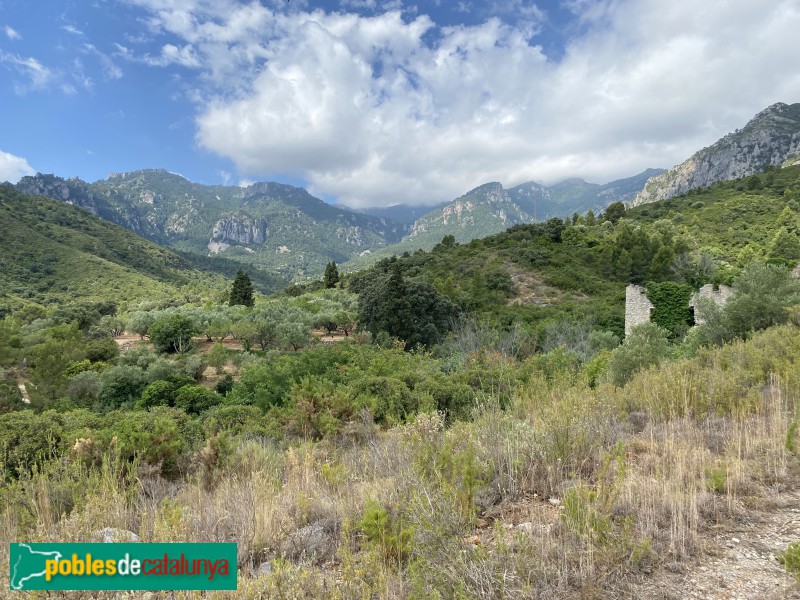 Alfara de Carles - Paisatge al voltant de la fàbrica de paper (Foto: Albert Esteves, 2022) Alfara de Carles - Paisatge al voltant de la fàbrica de paper