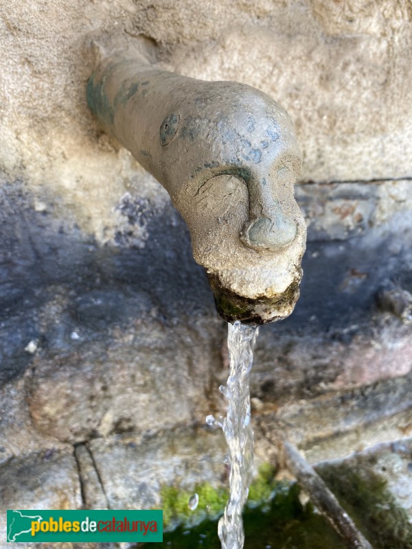 Riu de Cerdanya - Font de les Rentadores (Foto: Albert Esteves, 2022) Riu de Cerdanya - Font de les Rentadores