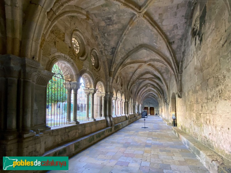 Tarragona - Catedral. Claustre (Foto: Albert Esteves, 2022) Tarragona - Catedral. Claustre