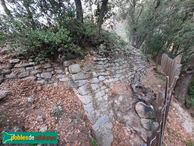 Vilanova de Sau - Domus del Pi (Foto: <i>Ferran Artigas</i>, 2022) Vilanova de Sau - Domus del Pi