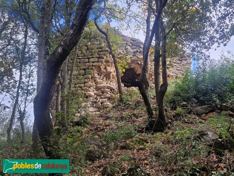 Vilanova de Sau - Domus del Pi (Foto: <i>Ferran Artigas</i>, 2022) Vilanova de Sau - Domus del Pi