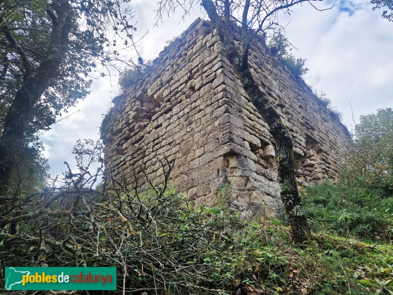Vilanova de Sau - Domus del Pi (Foto: <i>Ferran Artigas</i>, 2022) Vilanova de Sau - Domus del Pi