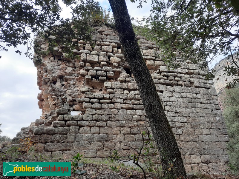 Vilanova de Sau - Domus del Pi (Foto: <i>Ferran Artigas</i>, 2022) Vilanova de Sau - Domus del Pi