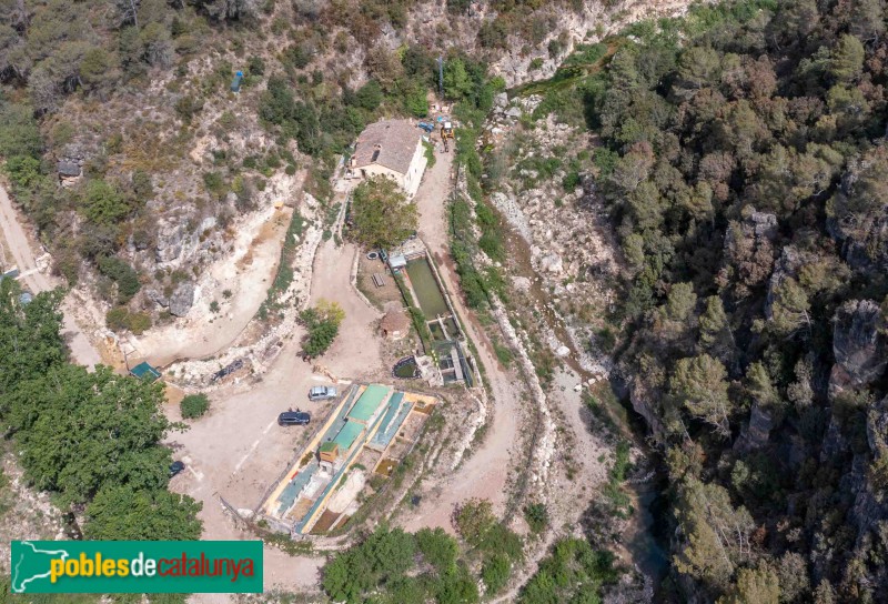 Mont-ral - Molí del Fort (Foto: Francesc Vidal-Barraquer, 2023) Mont-ral - Molí del Fort