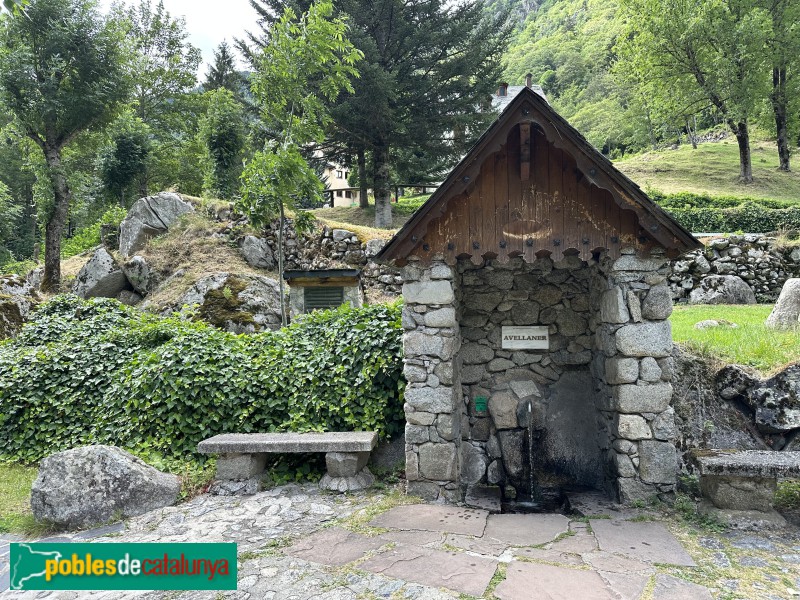Boí - Caldes de Boí. Font de l'Avellaner I (Foto: Albert Esteves, 2023) Boí - Caldes de Boí. Font de l'Avellaner I