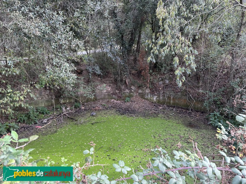 Llinars del Vallès - Bassa de Can Prat (Foto: Albert Esteves, 2023) Llinars del Vallès - Bassa de Can Prat