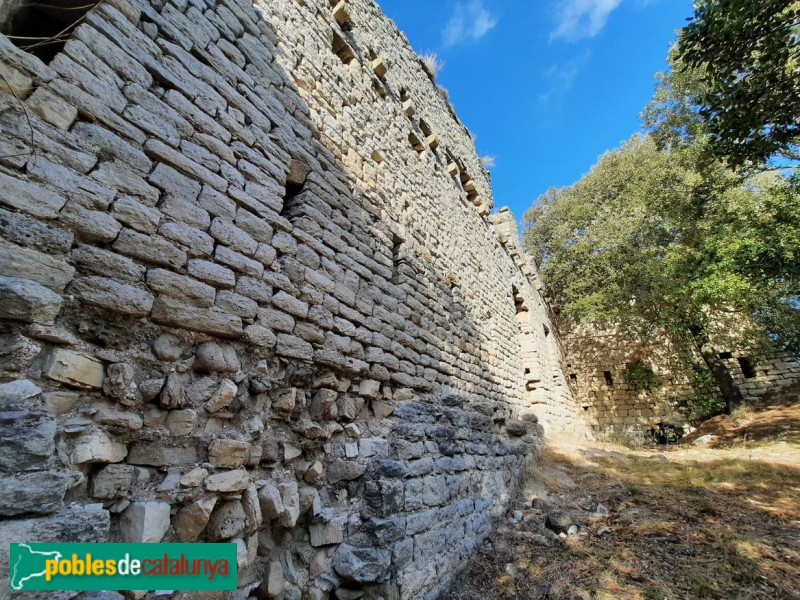 Seva - Castell d'Esparreguera (Foto: Ferran Artigas, 2023) Seva - Castell d'Esparreguera