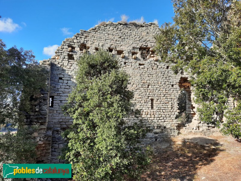 Seva - Castell d'Esparreguera (Foto: Ferran Artigas, 2023) Seva - Castell d'Esparreguera