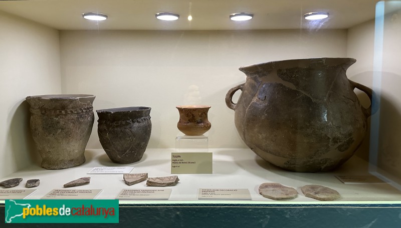 Alcanar - Centre d'Interpretació de la Cultura dels Ibers. Materials procedents de la Moleta del Remei (Foto: Albert Esteves, 2023) Alcanar - Centre d'Interpretació de la Cultura dels Ibers. Materials procedents de la Moleta del Remei