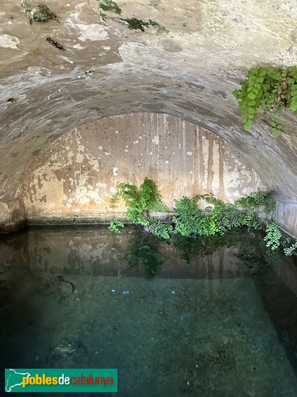 La Sénia - Font del Carrer del Carme (Foto: Albert Esteves, 2024) La Sénia - Font del Carrer del Carme