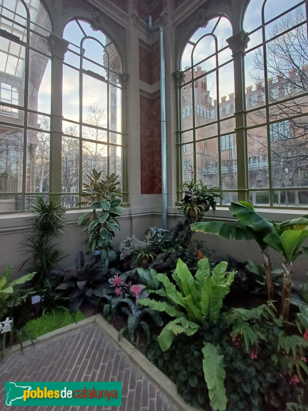 Barcelona - Parc de la Ciutadella. Hivernacle (Foto: Sergi Suárez, 2024) Barcelona - Parc de la Ciutadella. Hivernacle