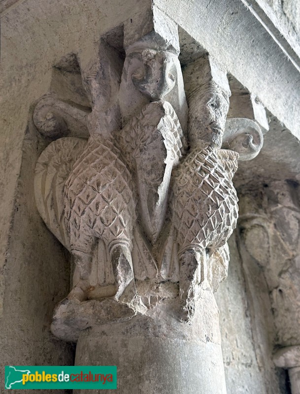 Girona - Sant Pere de Galligants. Claustre (Foto: Albert Esteves, 2024) Girona - Sant Pere de Galligants. Claustre