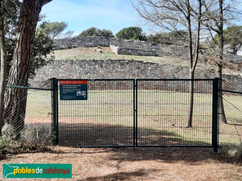 El Brull - Muralles de Montgròs (Foto: <i>Ferran Artigas</i>, 2023) El Brull - Muralles de Montgròs