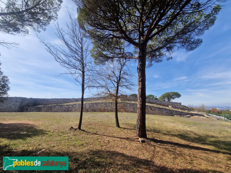 El Brull - Muralles de Montgròs (Foto: <i>Ferran Artigas</i>, 2023) El Brull - Muralles de Montgròs