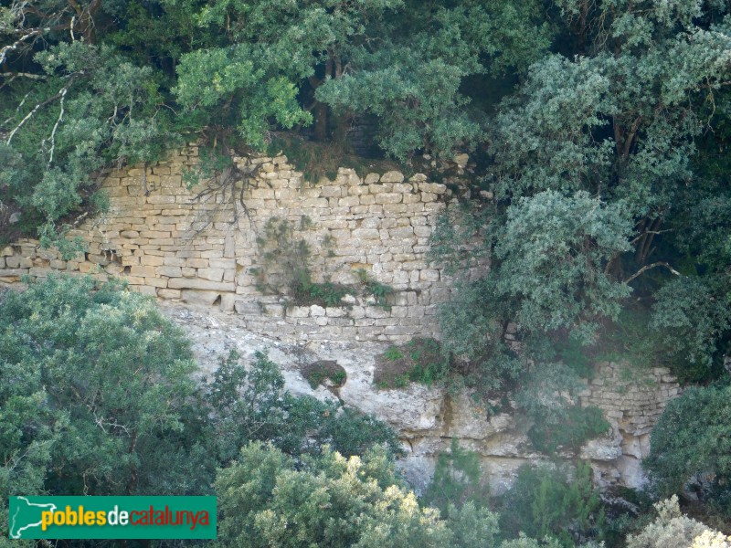 Vilanova de Sau - Restes del castell de Cornil
