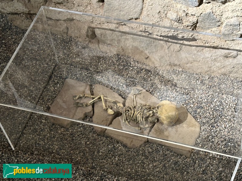 Premià de Mar - Museu Romà (Foto: Albert Esteves, 2024) Premià de Mar - Museu Romà