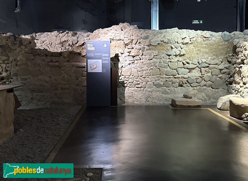 Premià de Mar - Museu Romà (Foto: Albert Esteves, 2024) Premià de Mar - Museu Romà