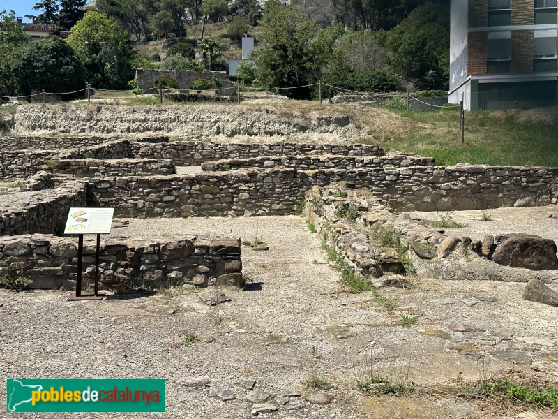Tona - Jaciment del Camp de les Lloses (Foto: Albert Esteves, 2024) Tona - Jaciment del Camp de les Lloses