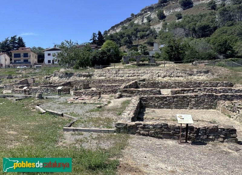Tona - Jaciment del Camp de les Lloses (Foto: Albert Esteves, 2024) Tona - Jaciment del Camp de les Lloses