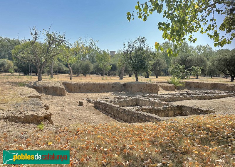 Cambrils - Vil·la romana de la Llosa (Foto: Albert Esteves, 2024) Cambrils - Vil·la romana de la Llosa