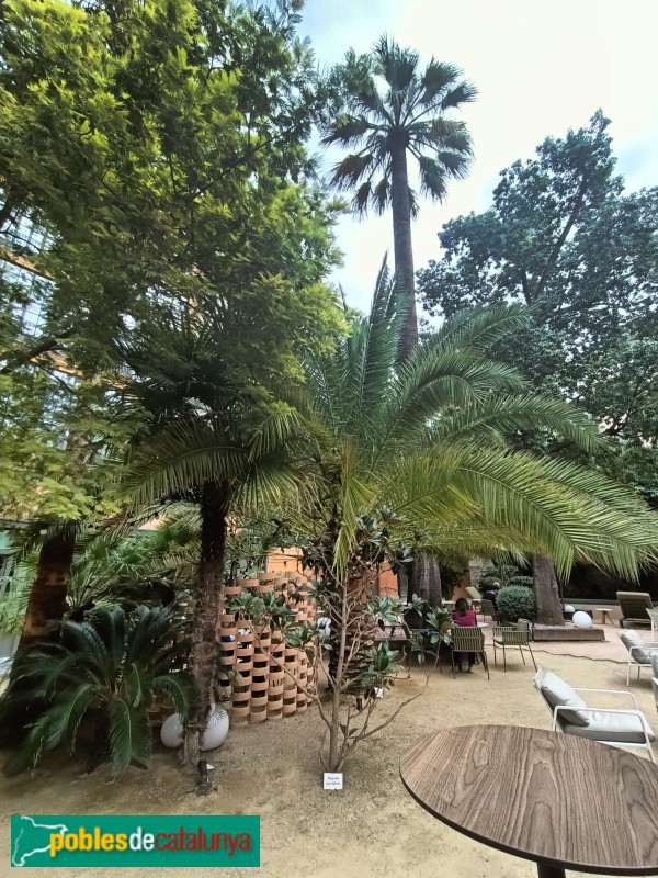 Barcelona - Pau Claris, 179 (Foto: Anna Corcoll, 2024) Barcelona - Pau Claris, 179