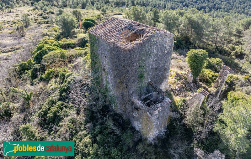 El Montmell - Les Ventoses (Foto: Francesc Vidal-Barraquer, 2025) El Montmell - Les Ventoses