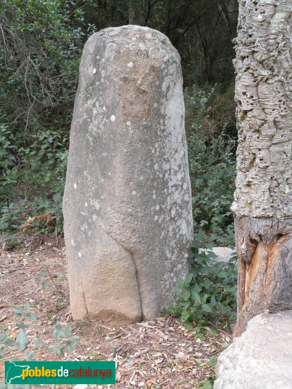 Llagostera - Menhir d'en Llach