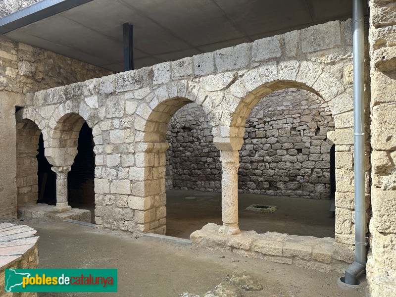 Avinyonet del Penedès - Sant Sebastià dels Gorgs. Claustre (Foto: Albert Esteves, 2025) Avinyonet del Penedès - Sant Sebastià dels Gorgs. Claustre