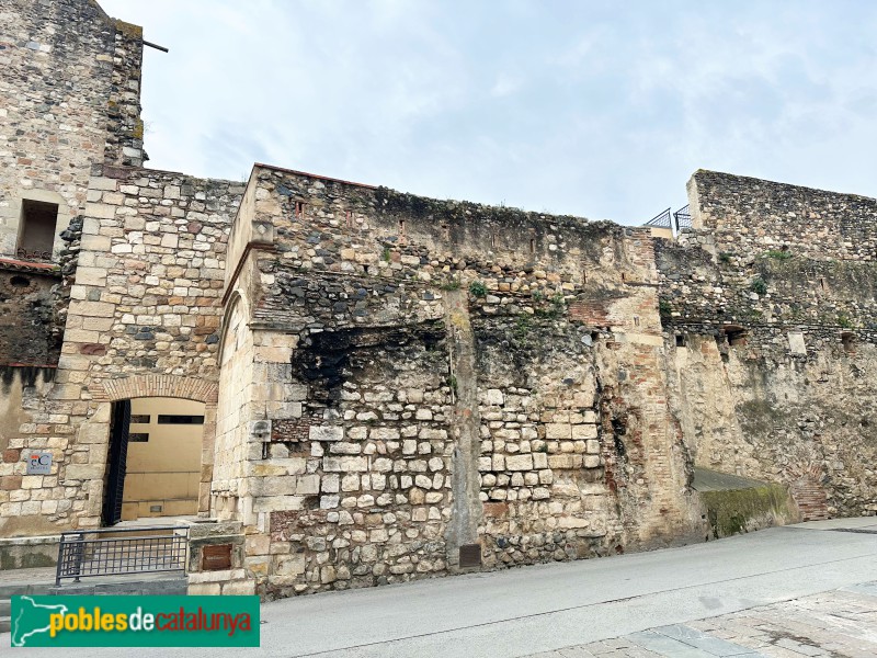 La Selva del Camp - Castell (Foto: Albert Esteves, 2025) La Selva del Camp - Castell