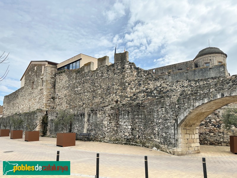 La Selva del Camp - Castell (Foto: Albert Esteves, 2025) La Selva del Camp - Castell