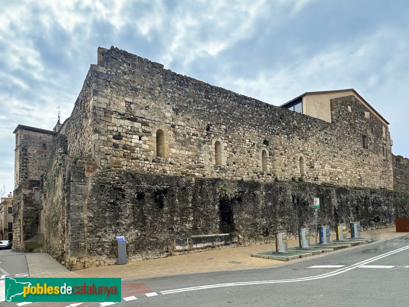 La Selva del Camp - Castell (Foto: Albert Esteves, 2025) La Selva del Camp - Castell