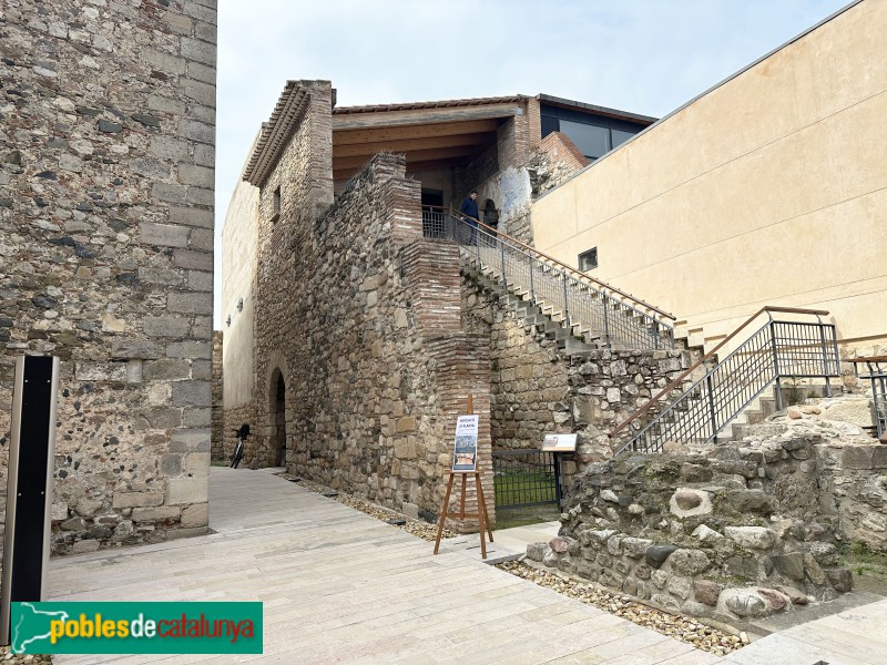 La Selva del Camp - Castell (Foto: Albert Esteves, 2025) La Selva del Camp - Castell