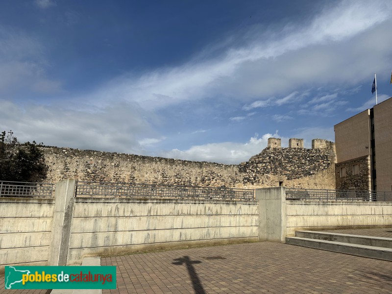 La Selva del Camp - Muralla del castell (Foto: Albert Esteves, 2025) La Selva del Camp - Muralla del castell