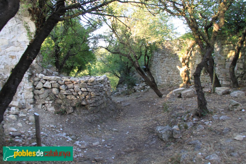 Vilaplana - La Mussara. Ruïnes del poble (Foto: Albert Esteves, 2017) Vilaplana - La Mussara. Ruïnes del poble