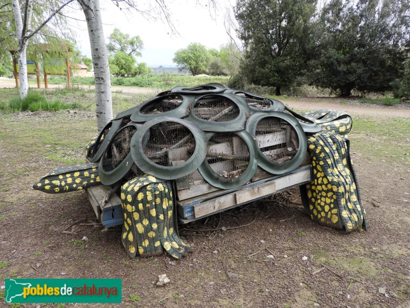 Ivars d'Urgell - Escultura <i>la Tortuga d'Estany</i>