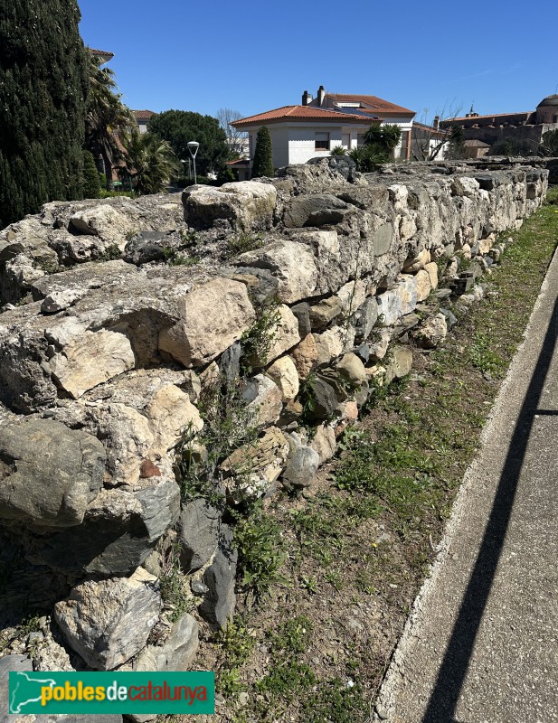 La Selva del Camp - Molí del Rovellat (Foto: Albert Esteves, 2025) La Selva del Camp - Molí del Rovellat