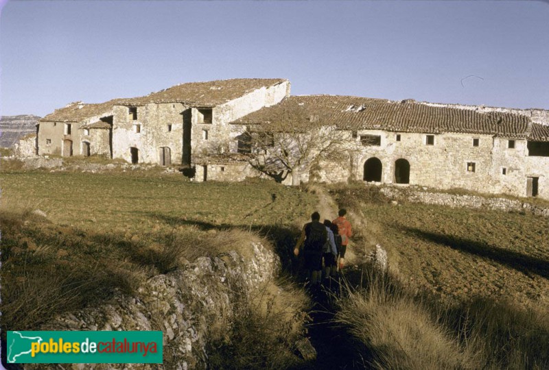 L'Arbolí - Gallicant