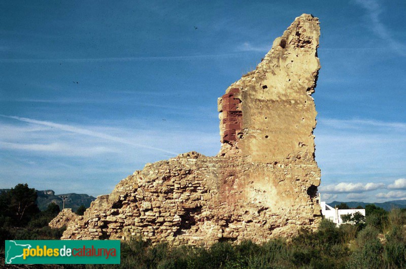Mont-roig del Camp - Restes de la fortalesa de Miramar (Foto: <i>Ramon Aloguin -calaix.gencat.cat</i>, 1996) Mont-roig del Camp - Restes de la fortalesa de Miramar
