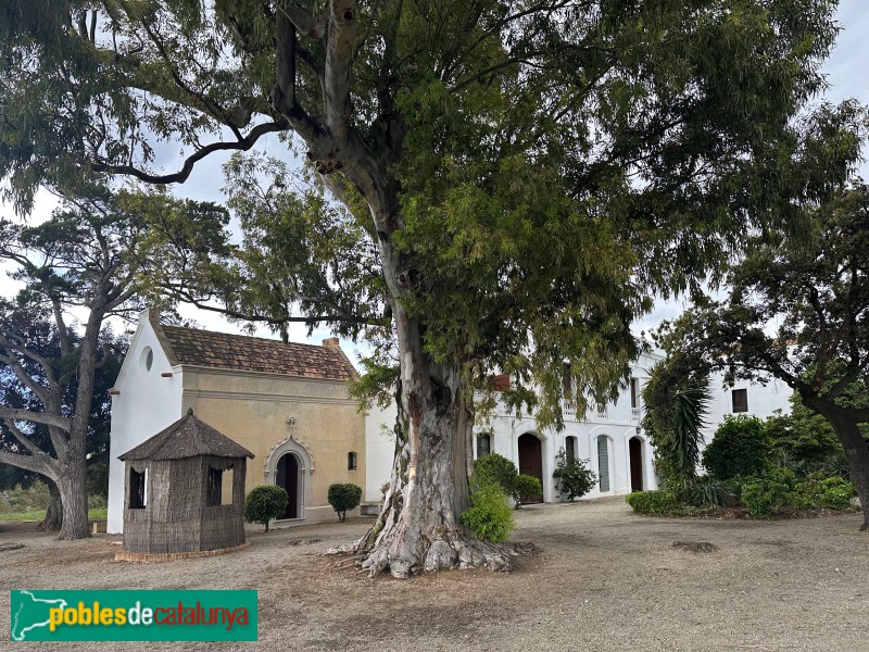 Mont-roig del Camp - Mas Miró (Foto: Albert Esteves, 2025) Mont-roig del Camp - Mas Miró
