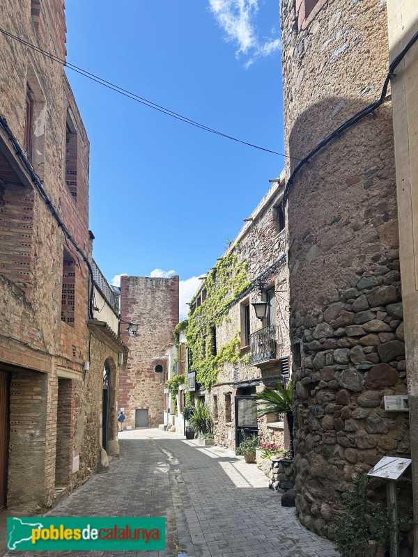 Vilanova d'Escornalbou - L'Arbocet. Carrer de Baix