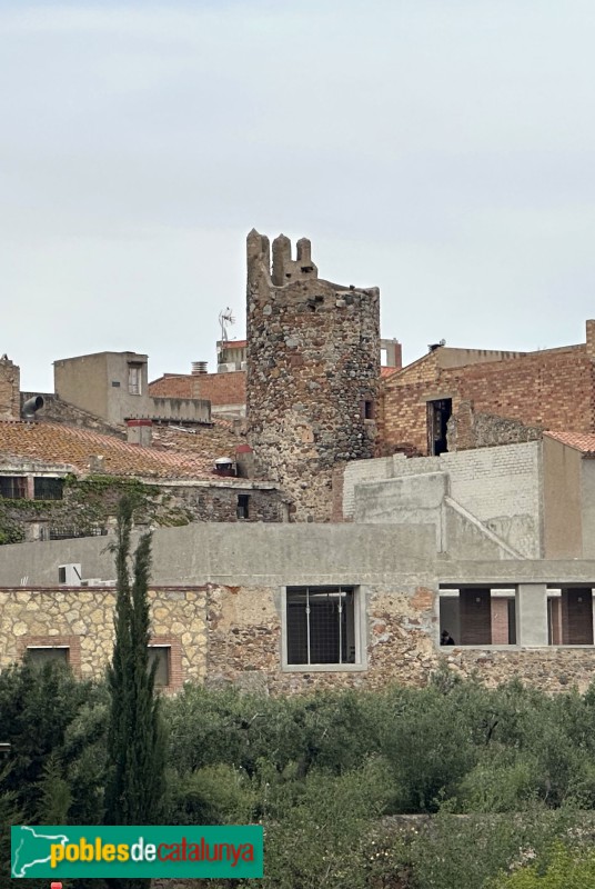 Vilanova d'Escornalbou - La Torratxa (l'Arbocet) (Foto: Albert Esteves, 2025) Vilanova d'Escornalbou - La Torratxa (l'Arbocet)