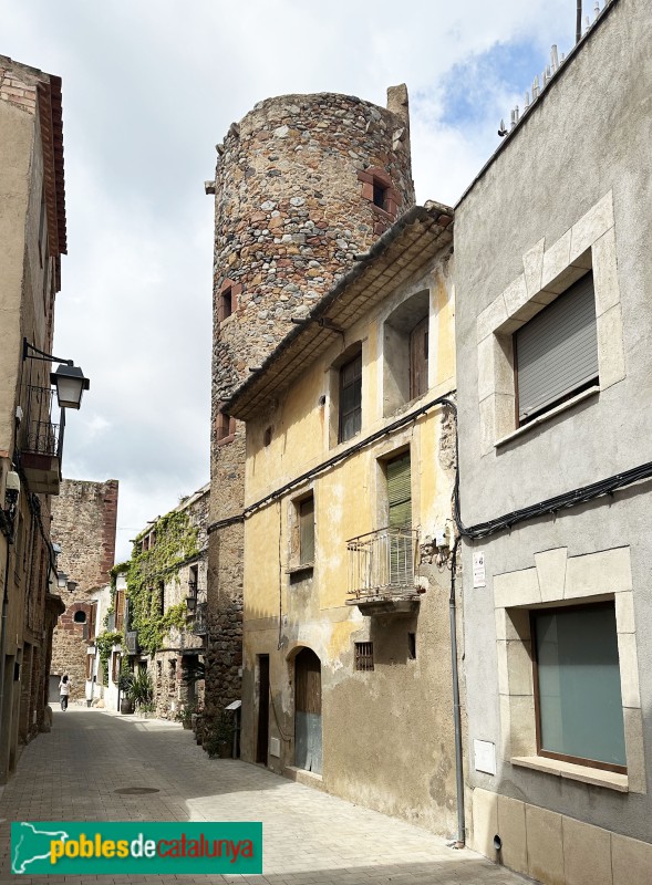 Vilanova d'Escornalbou - La Torratxa (l'Arbocet) (Foto: Albert Esteves, 2025) Vilanova d'Escornalbou - La Torratxa (l'Arbocet)