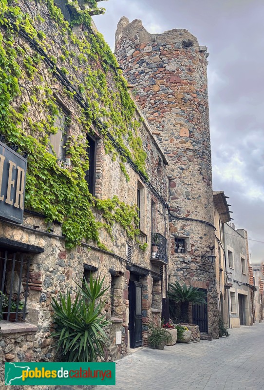 Vilanova d'Escornalbou - La Torratxa (l'Arbocet) (Foto: Albert Esteves, 2025) Vilanova d'Escornalbou - La Torratxa (l'Arbocet)