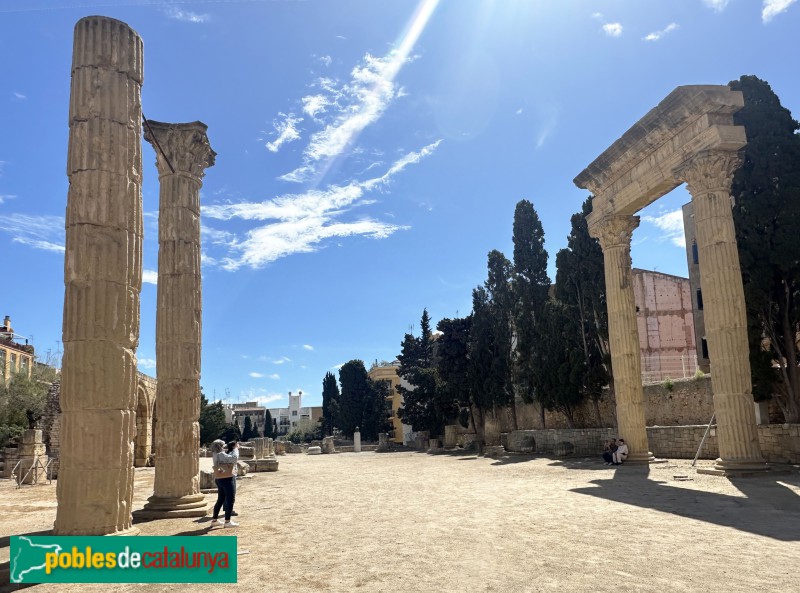 Tarragona - Fòrum de la colònia. Columnes de la basílica
