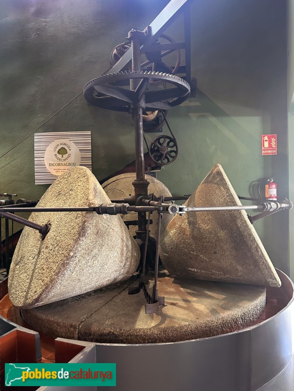 Riudecanyes - Museu de la Cooperativa (Foto: Albert Esteves, 2025) Riudecanyes - Museu de la Cooperativa