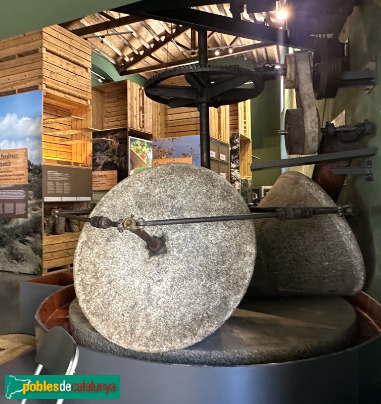 Riudecanyes - Museu de la Cooperativa (Foto: Albert Esteves, 2025) Riudecanyes - Museu de la Cooperativa