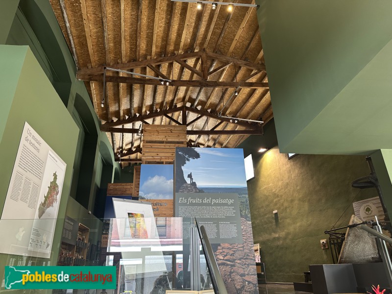 Riudecanyes - Museu de la Cooperativa (Foto: Albert Esteves, 2025) Riudecanyes - Museu de la Cooperativa